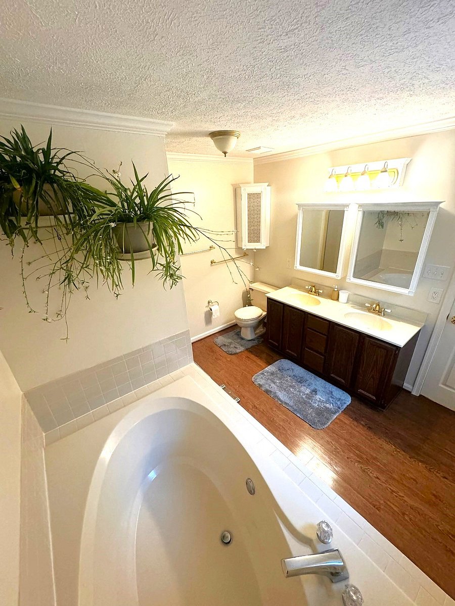View from the bathtub