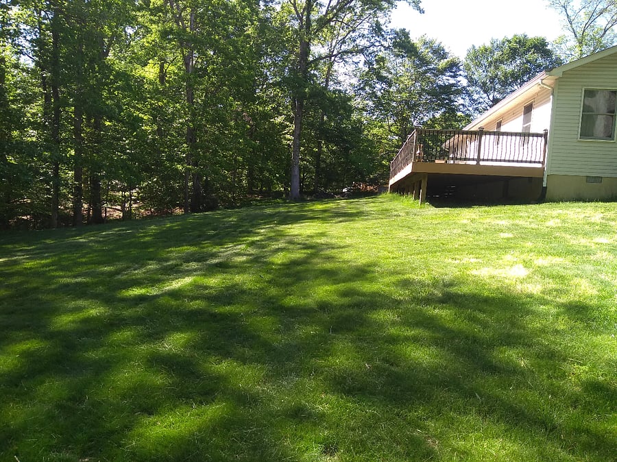 The back yard and deck