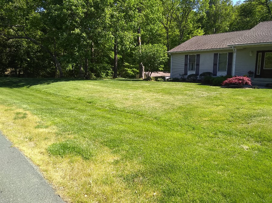 Front yard