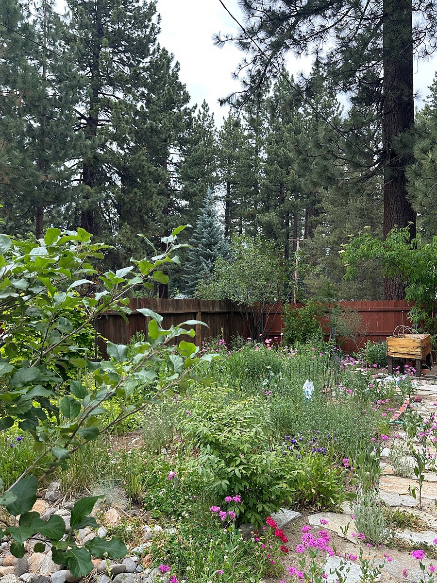 Furnished Finder property 740161_1 photo 25