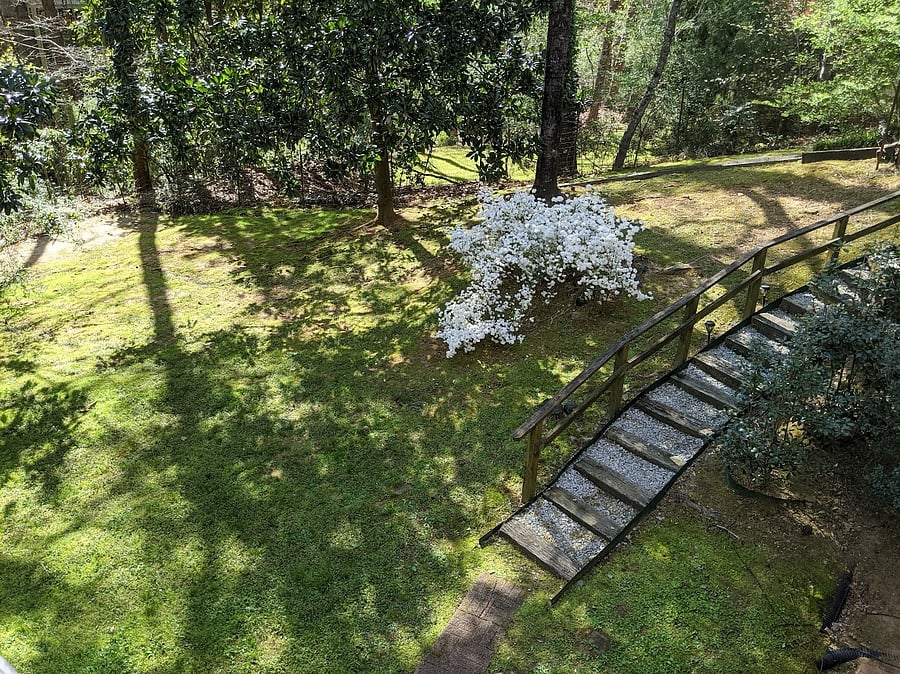 Spacious Backyard