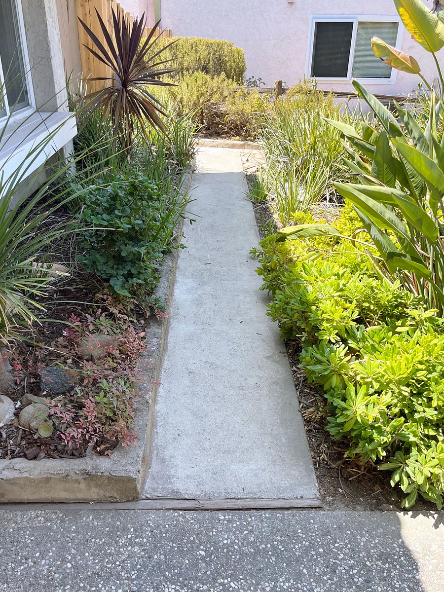 This is the walkway to the unit. At the end of this sidewalk, you turn left to enter the private gate.
