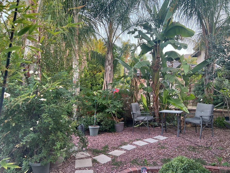 Furnished Finder property 740386_2 photo 5
