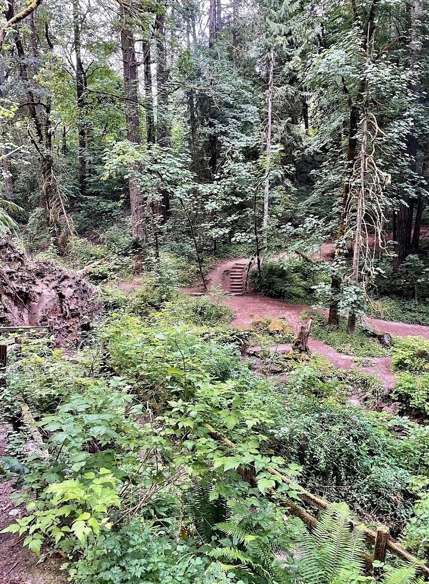 Marshall Park - just down the hill