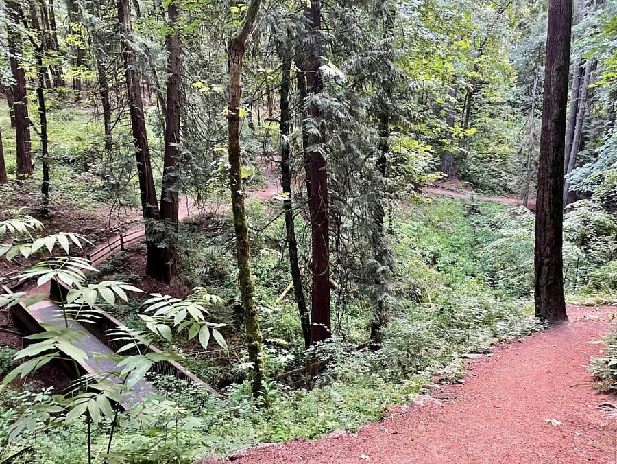 Marshall Park - just down the hill