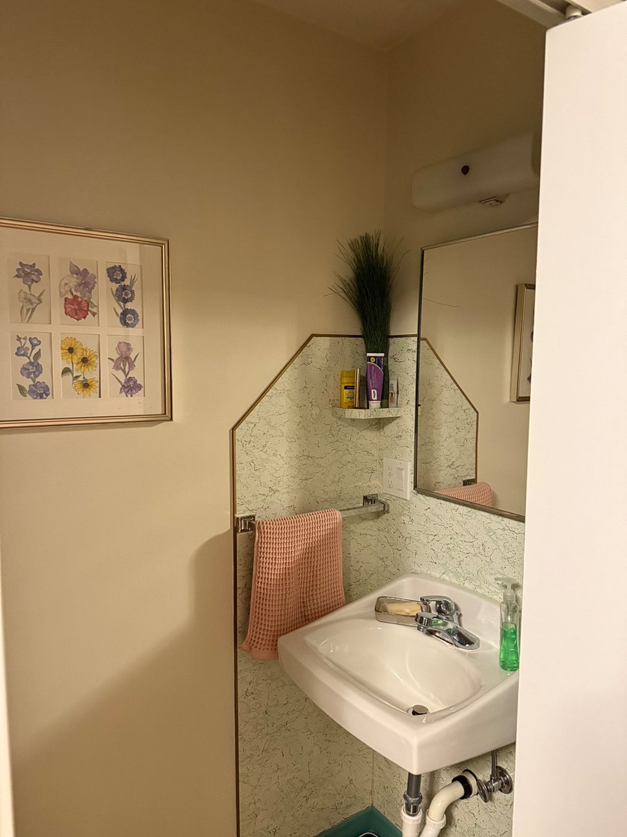 Half Bath in large bedroom