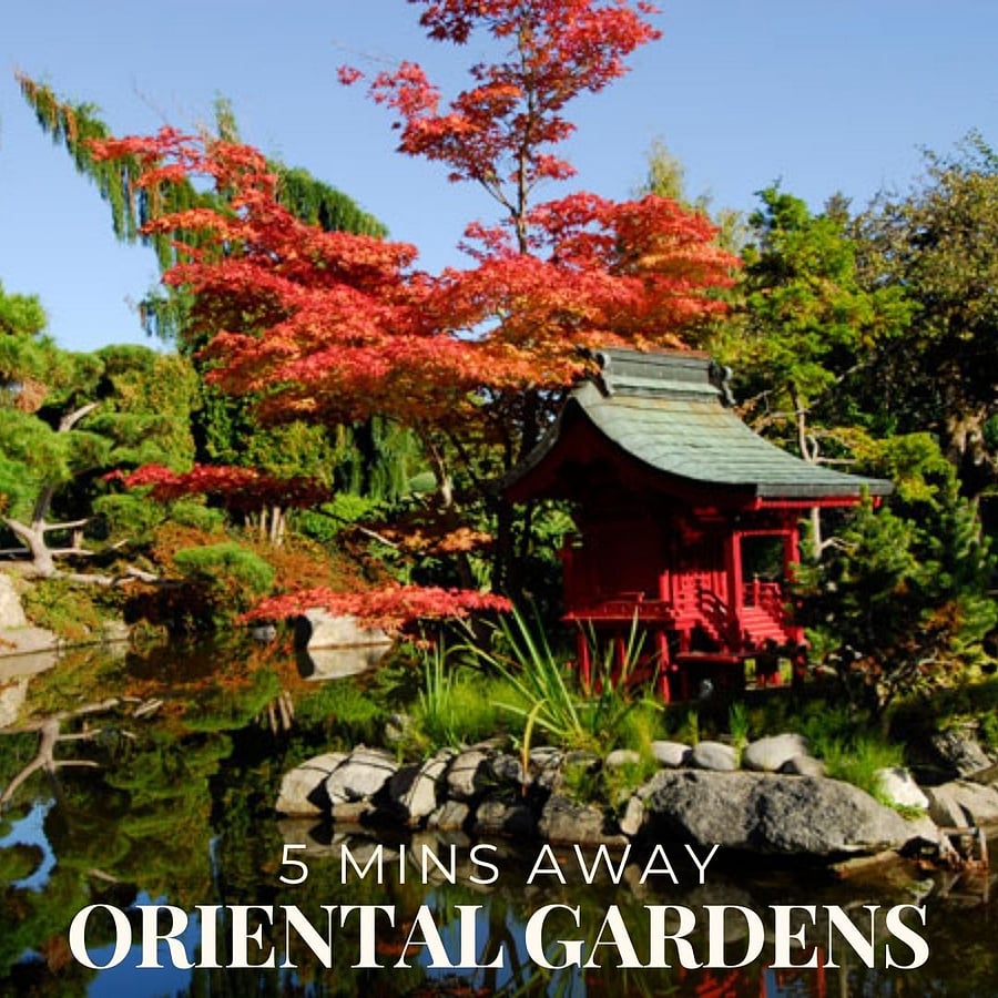 The Point Defiance Oriental Garden in Tacoma WA is a serene, beautifully landscaped retreat featuring koi ponds, traditional bridges, and Japanese-inspired flora. Located within Point Defiance Park, its an ideal spot for travel nurses, contractors, and professionals staying in furnished short-term rentals to unwind, meditate, or enjoy a peaceful walk. Surrounded by scenic trails, native plants, and wildlife, the Oriental Garden offers a quiet escape while remaining just minutes from downtown Tacoma and the citys hospital and medical district.