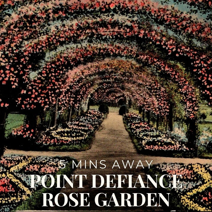 The Point Defiance Rose Garden in Tacoma WA is a stunning park destination where more than 1,500 rose bushes bloom alongside fountains, trellises, and walking paths. Nestled within Point Defiance Park, this tranquil garden is a favorite spot for travel nurses, contractors, and professionals staying in furnished short-term rentals to relax and recharge. The surrounding park area offers open lawns, shady picnic spaces, and connections to biking and hiking trails, making it a perfect escape after long shifts at nearby hospitals. Whether enjoying the seasonal flowers, capturing photos, or simply unwinding outdoors, the Rose Garden adds natural beauty to Tacomas vibrant outdoor lifestyle.