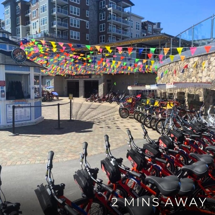 Located steps away from the waters of Puget Sound, come and explore Tacomas newest and most vibrant waterfront.  Wheel Fun Rentals has the perfect bike rental fleet to put explorers in motion with a plethora of vessels, including eight passenger Surrey cycles, Choppers, Electric Bikes, and a full array of Two-Wheel Cycles.