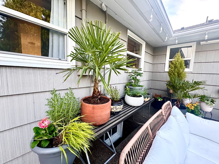 Remote work patio fully furnished outdoor patio with portable rolling sit/stand desk  remote work friendly housing in Tacoma for travel nurses and contractors. Surrounded by native plants and fountain  and terrific for those looking for a relaxing furnished housing in Tacoma for healthcare professionals.