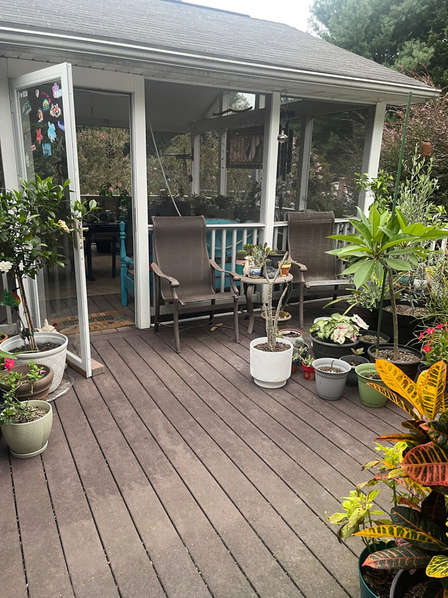 Furnished Finder property 741010_1 photo 12