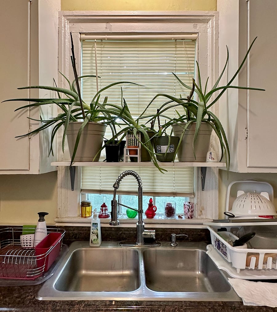 Furnished Finder property 741015_1 photo 17