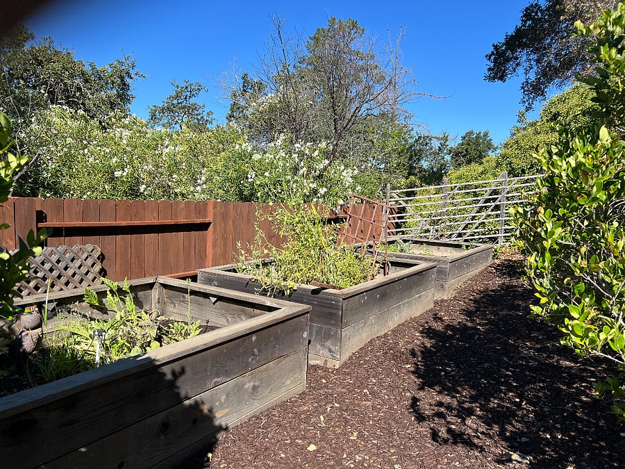 organic garden