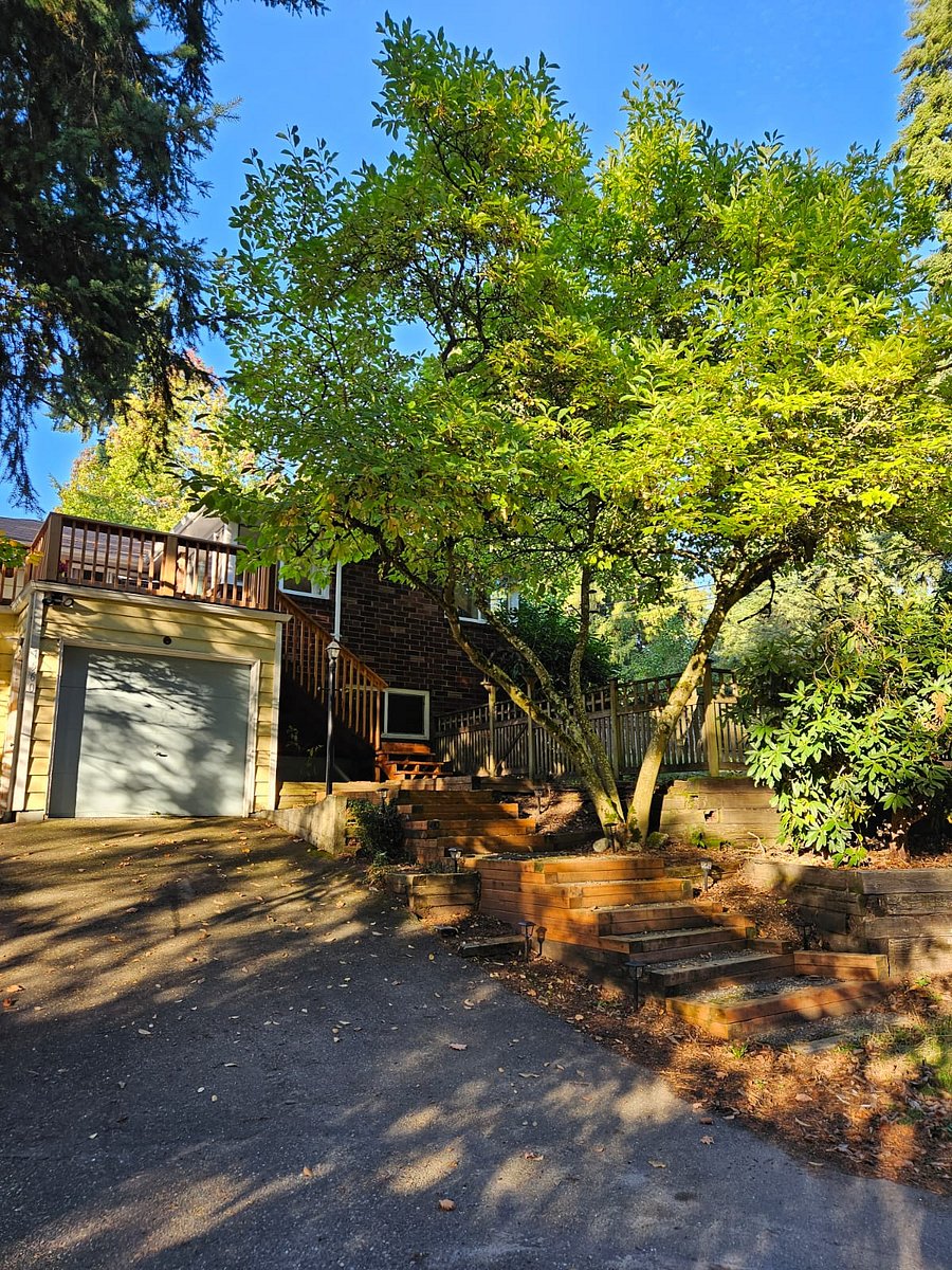 Furnished Finder property 741127_2 photo 37