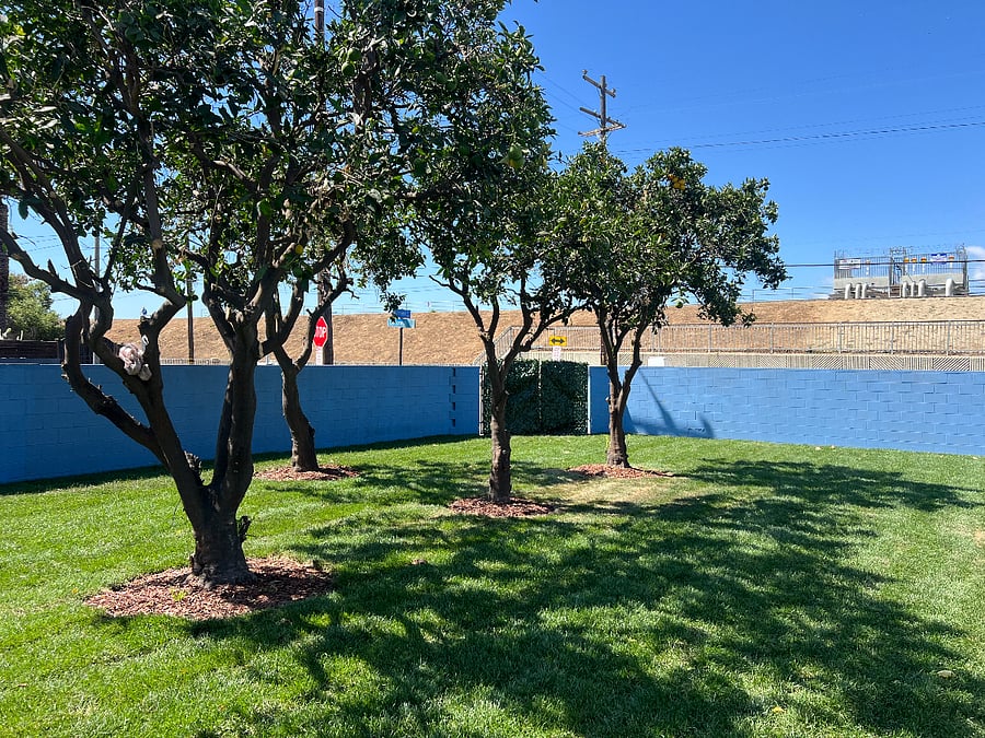 Furnished Finder property 741163_2 photo 10