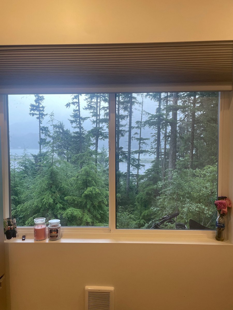 The view