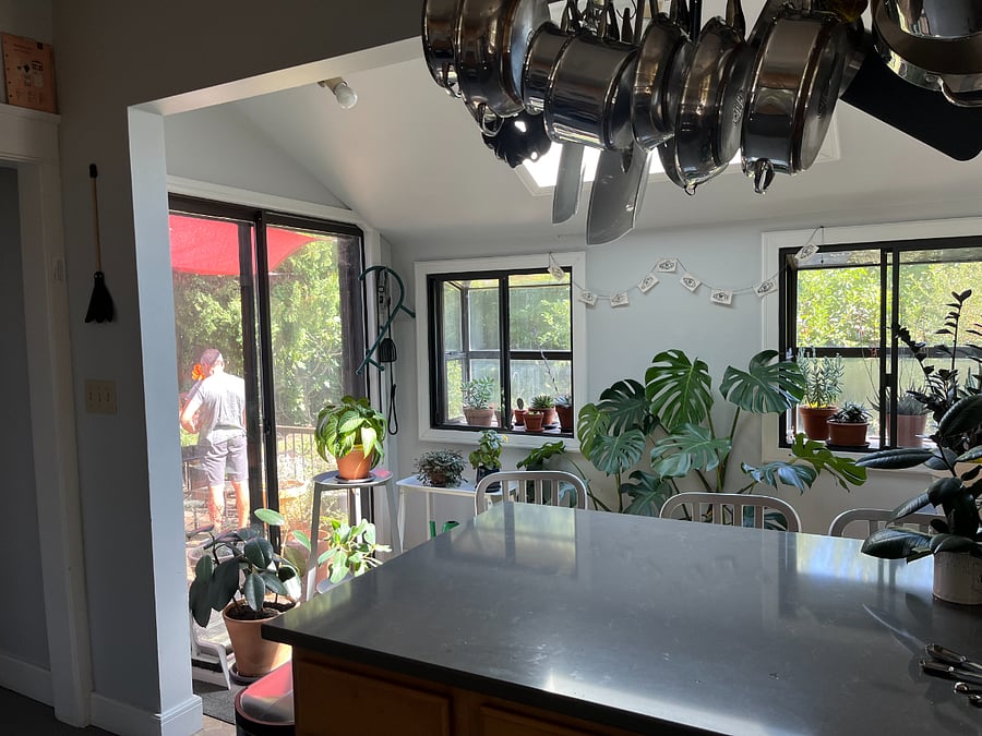 Kitchen/view to back yard