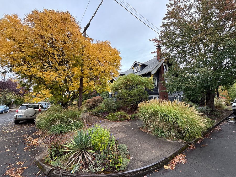 South side corner of house