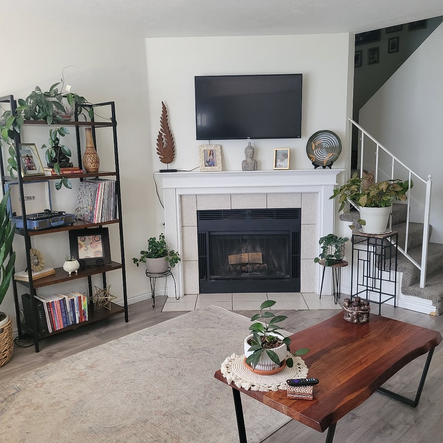 Shared Living Room