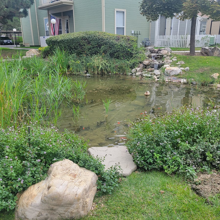 Pond #1 of four on property