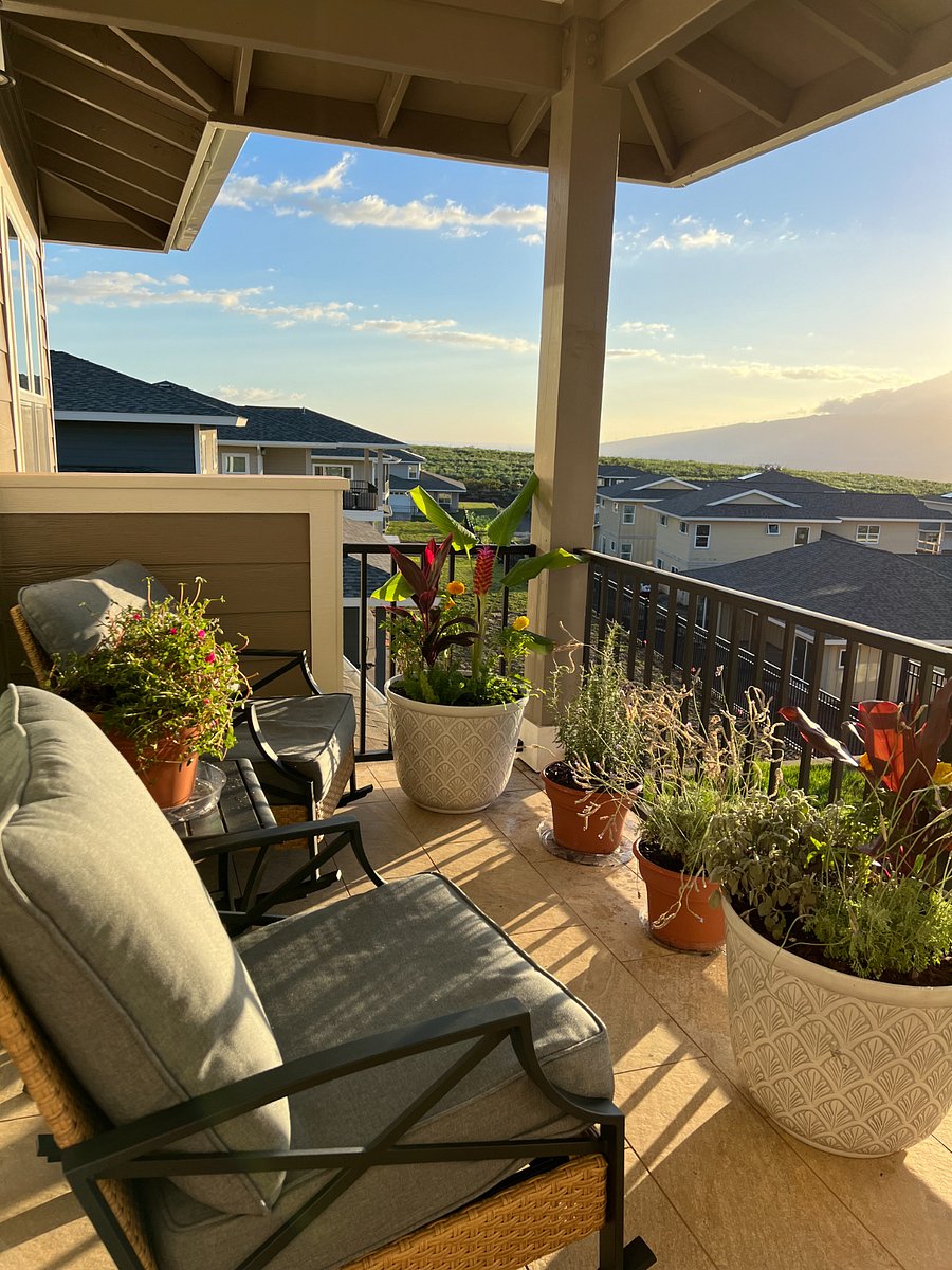 Furnished Finder property 741771_2 photo 14