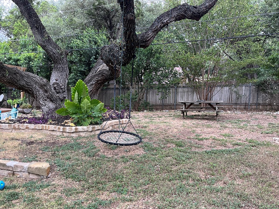 Backyard