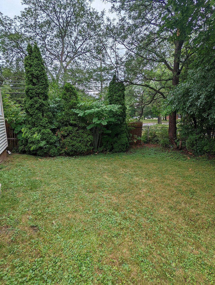 Furnished Finder property 741896_1 photo 17