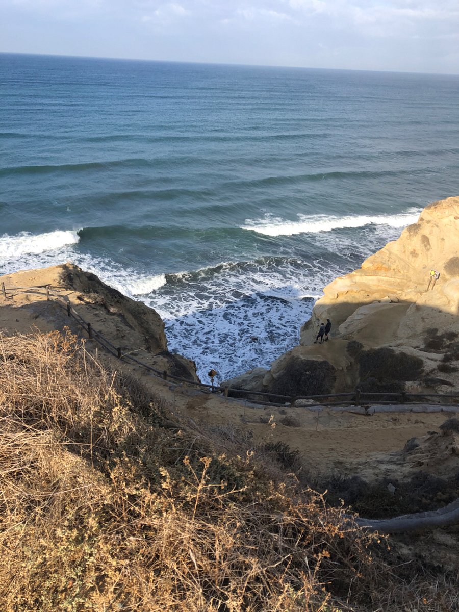 Torrey Pines