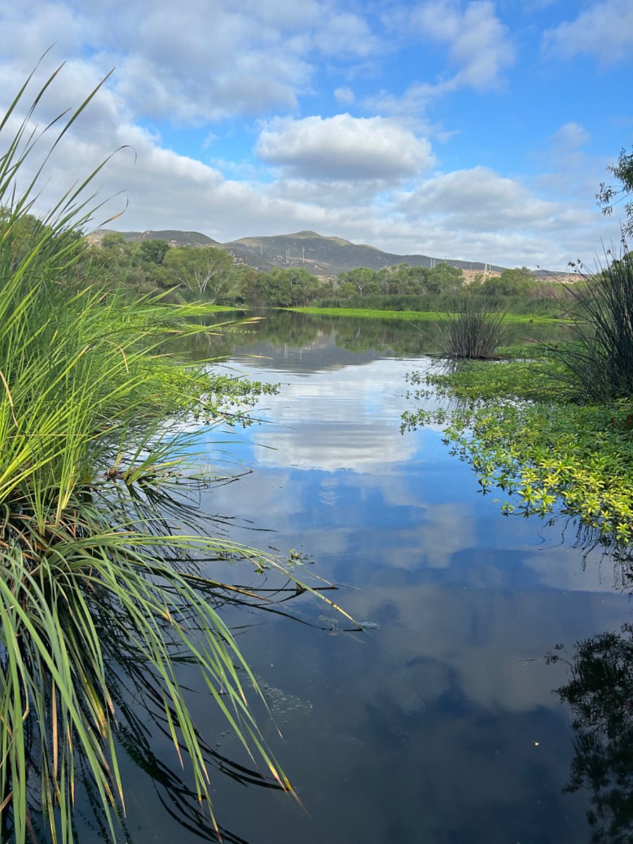 Mission trails hike