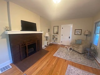 Fireplace not wood burning. 