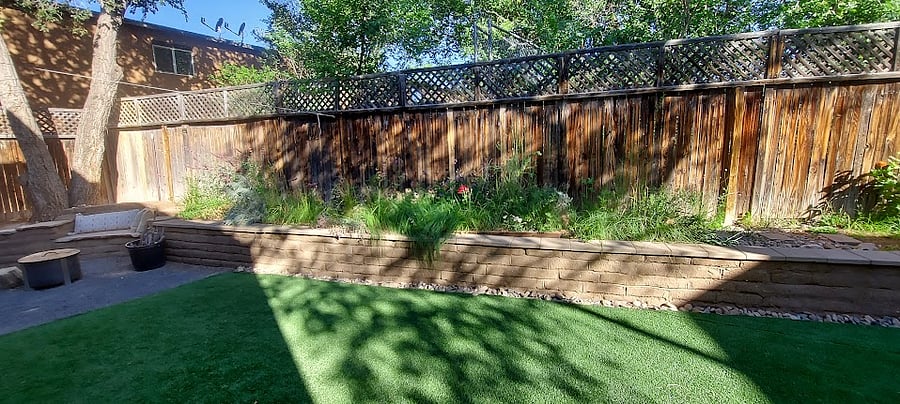 Mature desert meadow with drip irrigation timer.