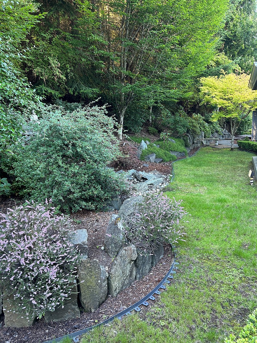 Front yard