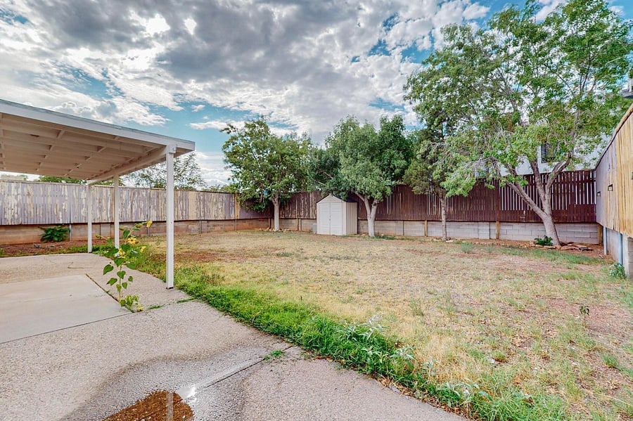 Back yard