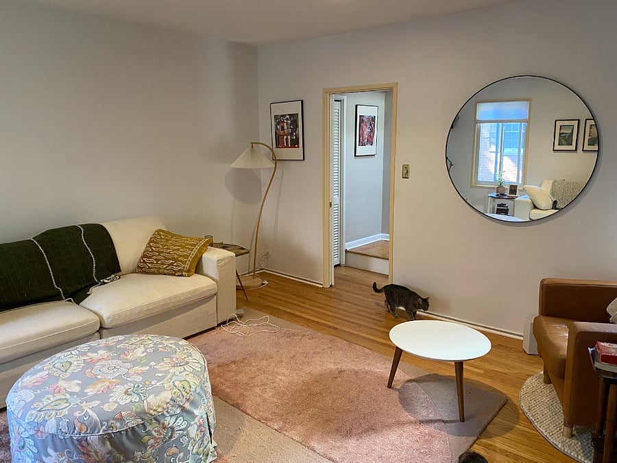 TV room/Living room/Den (cats not included lol)