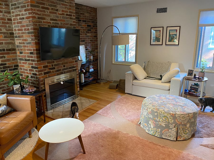 TV room/Living room/Den (cats not included lol)
