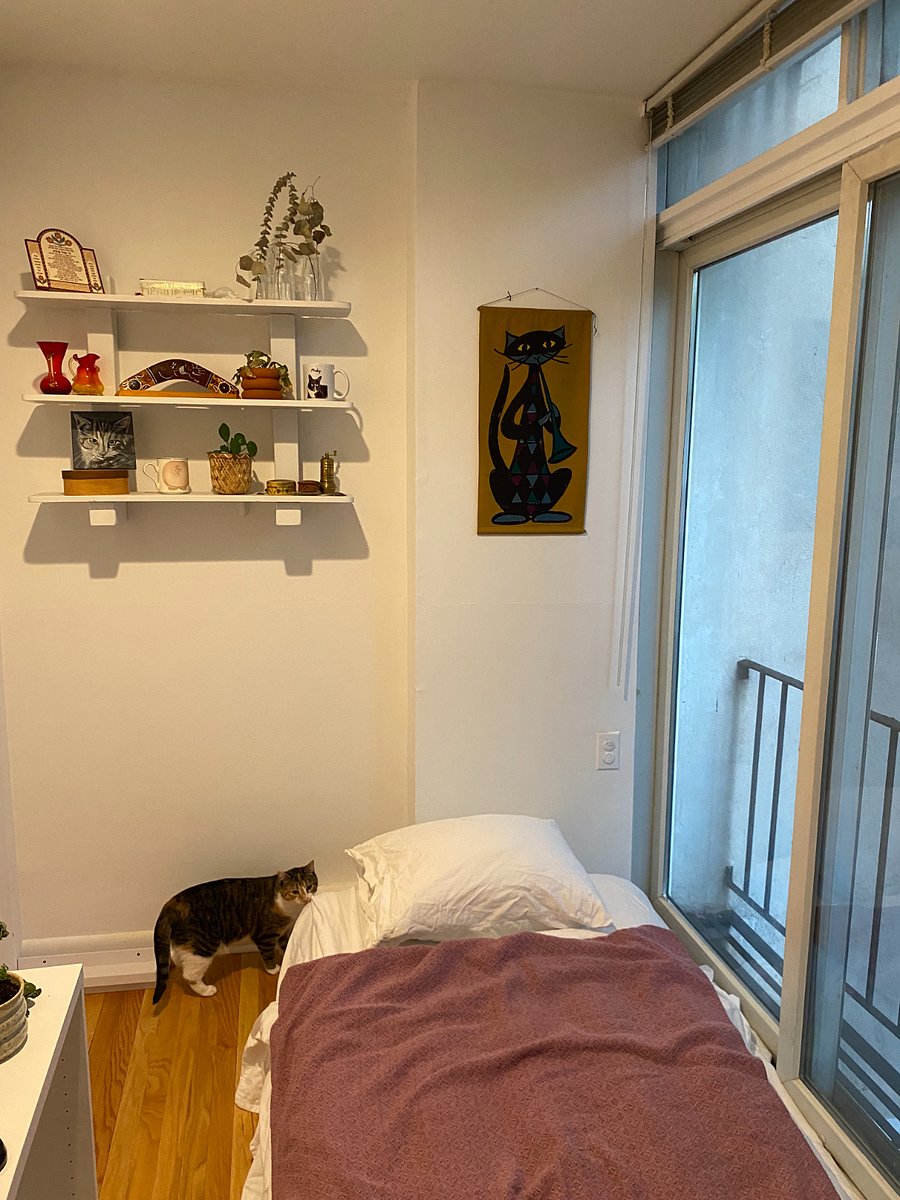 Bedroom #3 or office space - see other picture for office. Kitten not included!