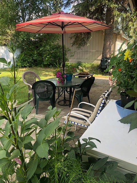 Backyard