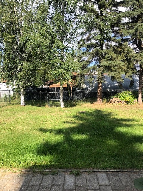 Fence backyard
