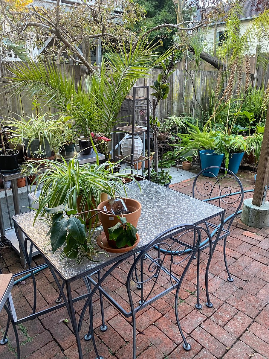 Furnished Finder property 742770_1 photo 12