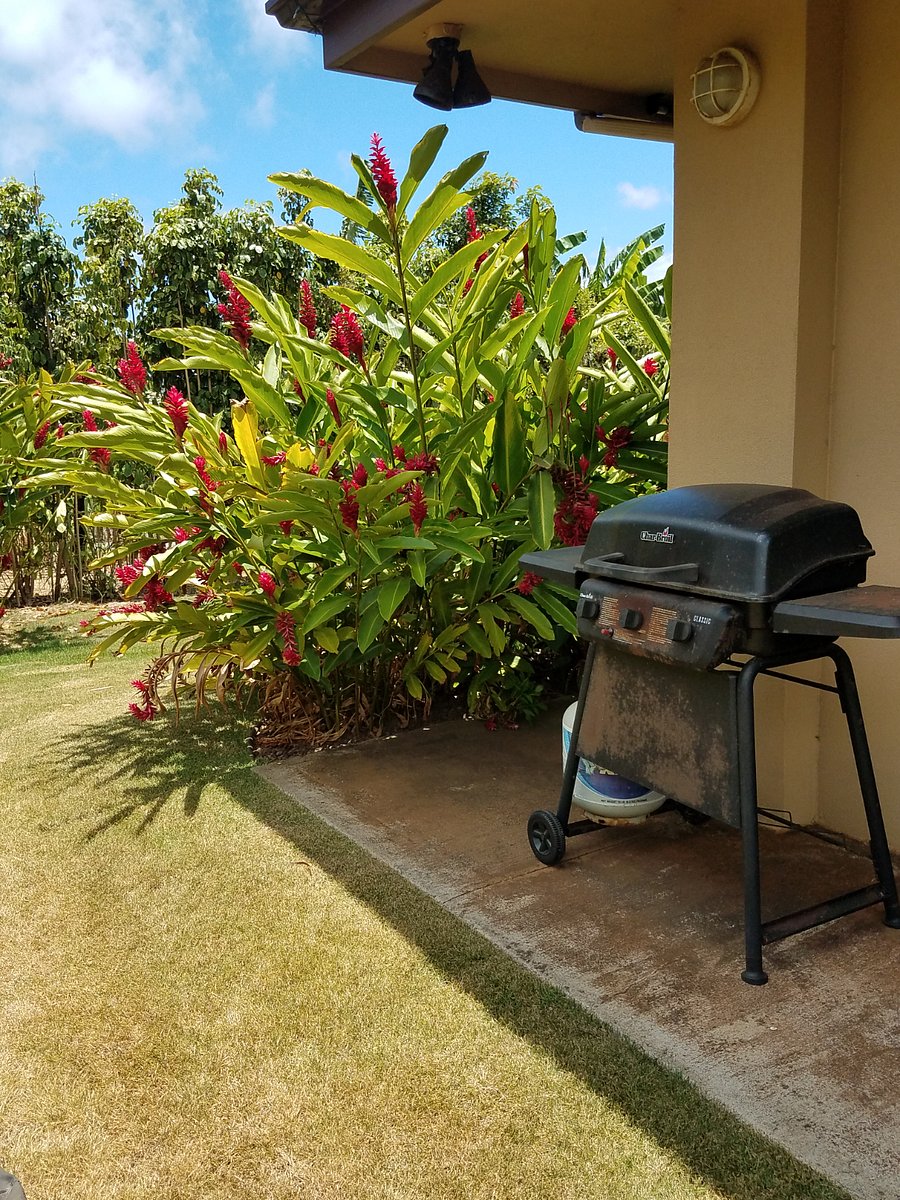 Furnished Finder property 742941_1 photo 4