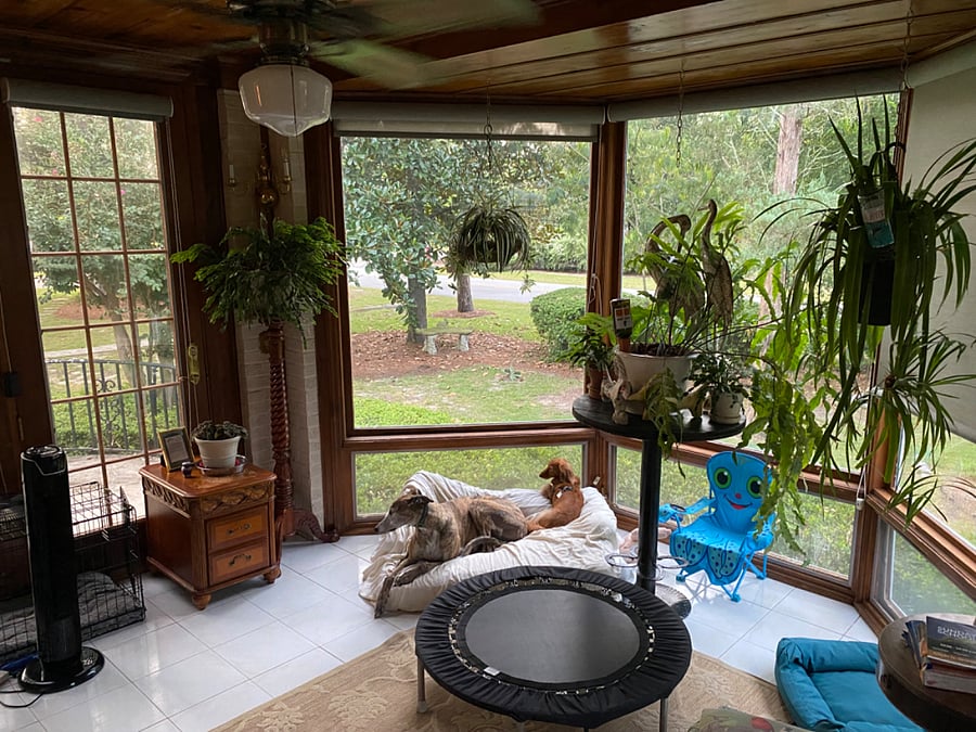 Furnished Finder property 743174_1 photo 12