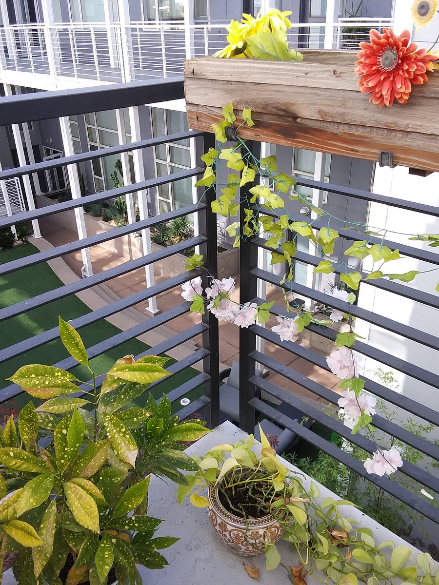 Lovely Private Outdoor Patio perfect to relax and sip your coffee