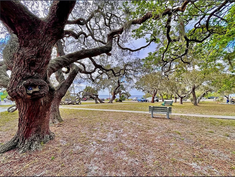 Community park