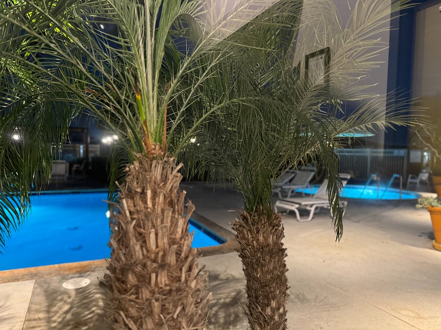 HUGE swimming pool open till 10pm with HUGE jacuzzi