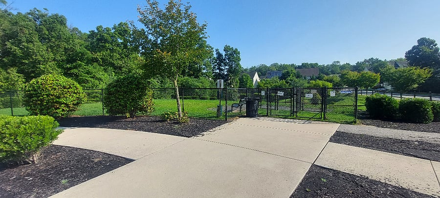 Dog Park
