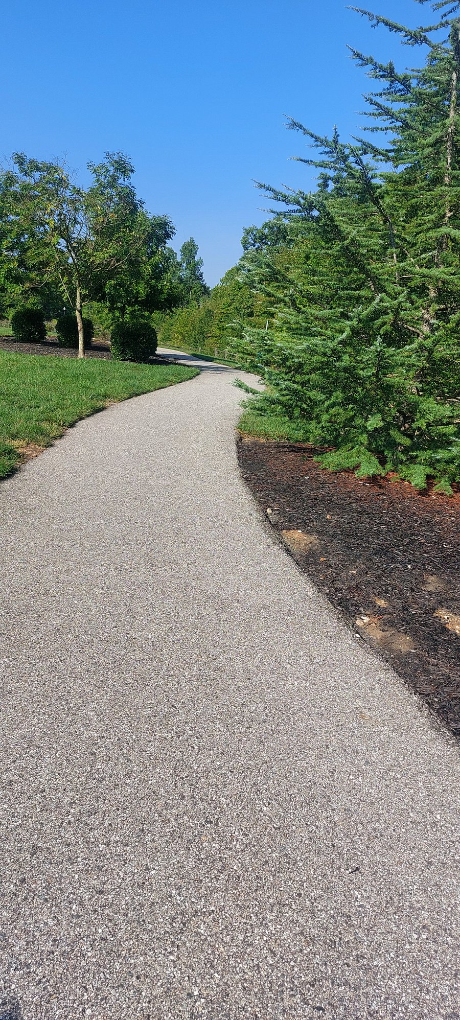 Plenty of walking trails