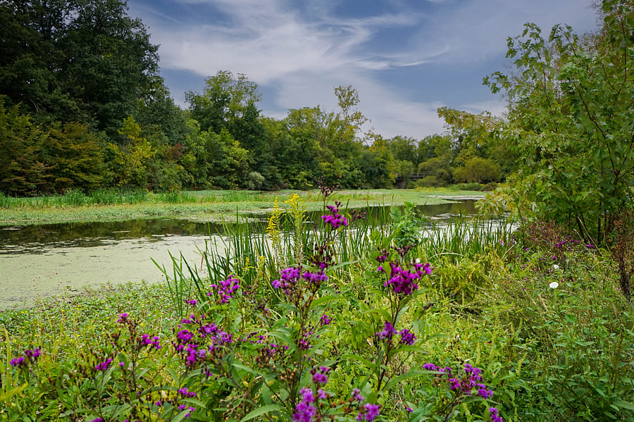 Lake side walking trail