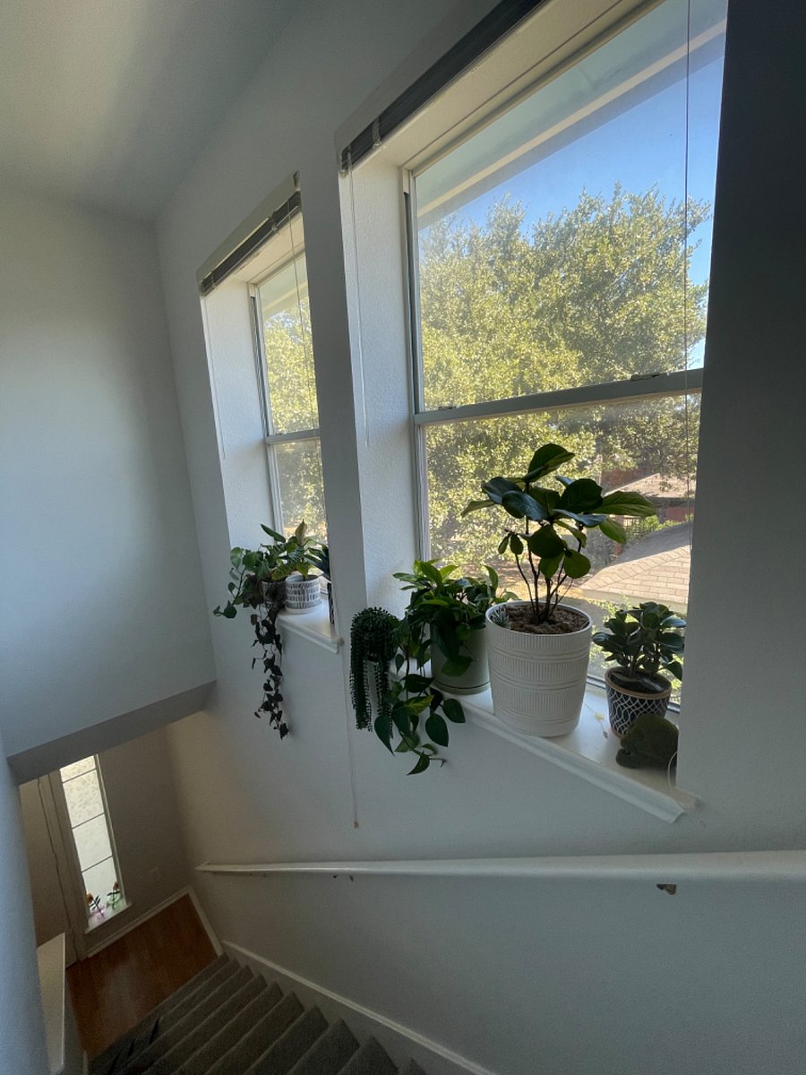 Furnished Finder property 743403_1 photo 7