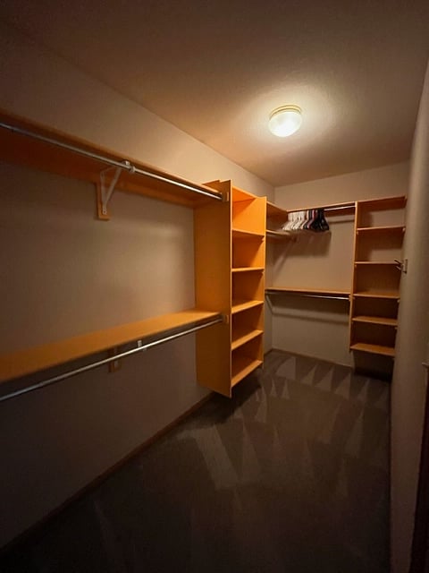Master BR walk-in closet