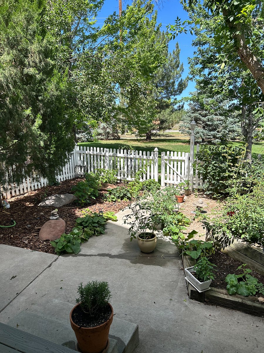Furnished Finder property 743627_1 photo 4
